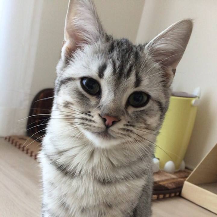 80aeff94 45c2 4a51 b423 185ca1c257e9