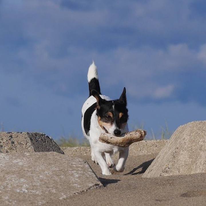 80af4a60 a2e0 443a b8fb d1963b701488