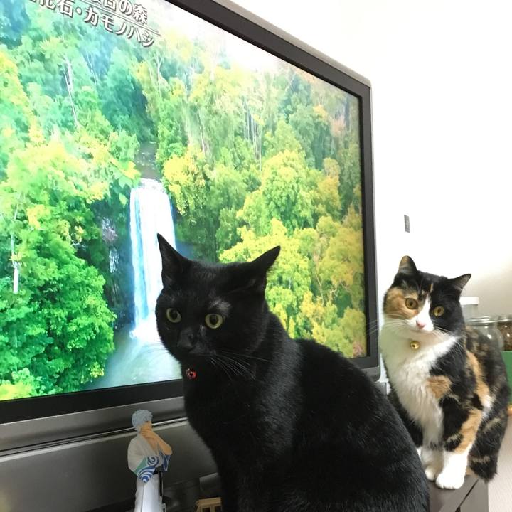 80af5752 7621 4d4c b4a0 5fad5c6a7e56