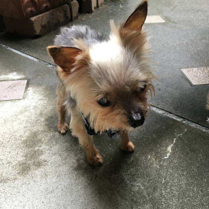 80af5cbf 50fd 47bd ac8d 203f59d64ae6