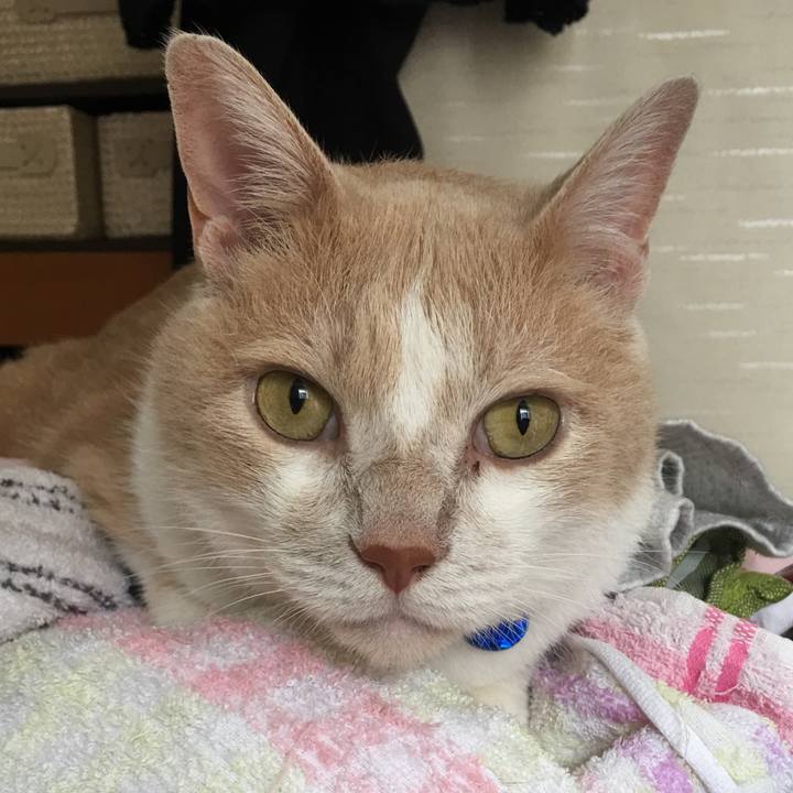 80af888f 33b8 487e ae47 15f312b54168