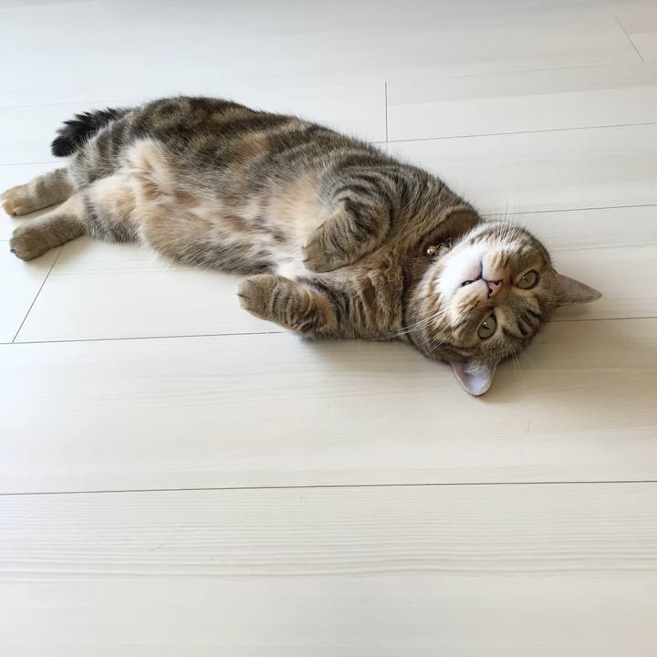 80afda75 1ab4 41ea 943e 970de09b394b