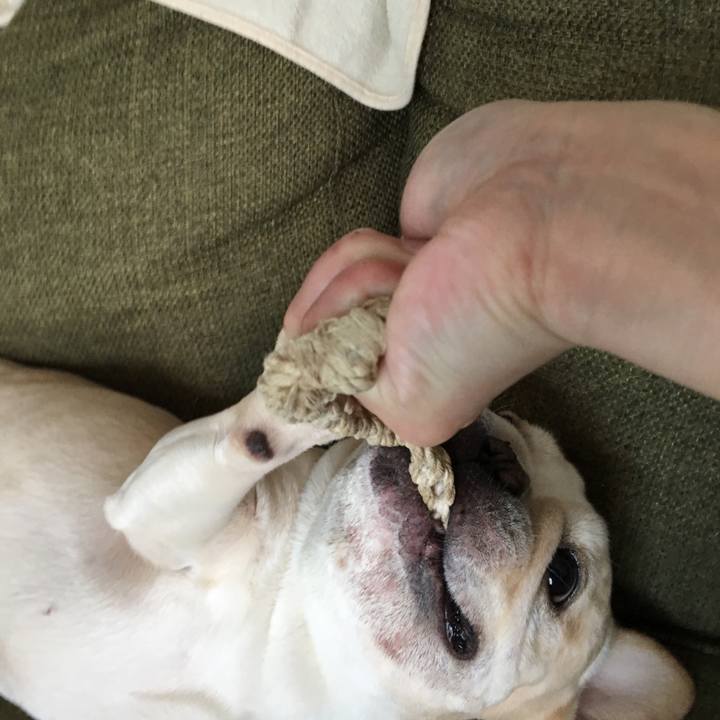 80b1bc00 2d61 4e20 9786 81782bdc030e