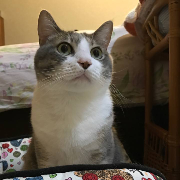 80b1edce 9e57 4417 83dd d5f304f2b271