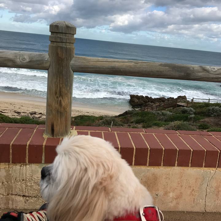 80b26713 573b 4dd7 80e3 5174a95f57b0