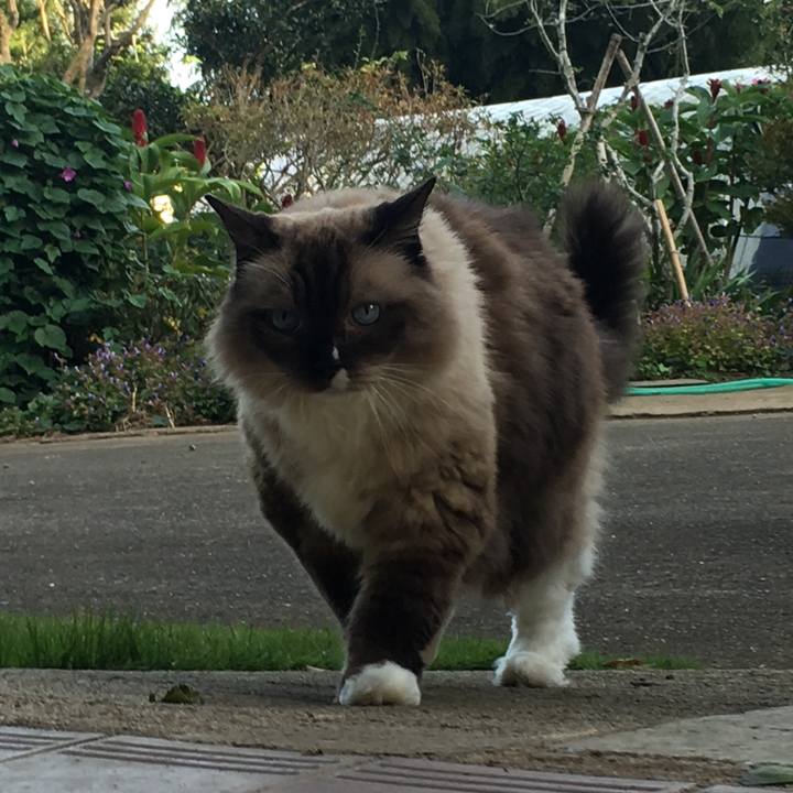 80b297d3 6347 40cc 9ba4 3d032d30b05c