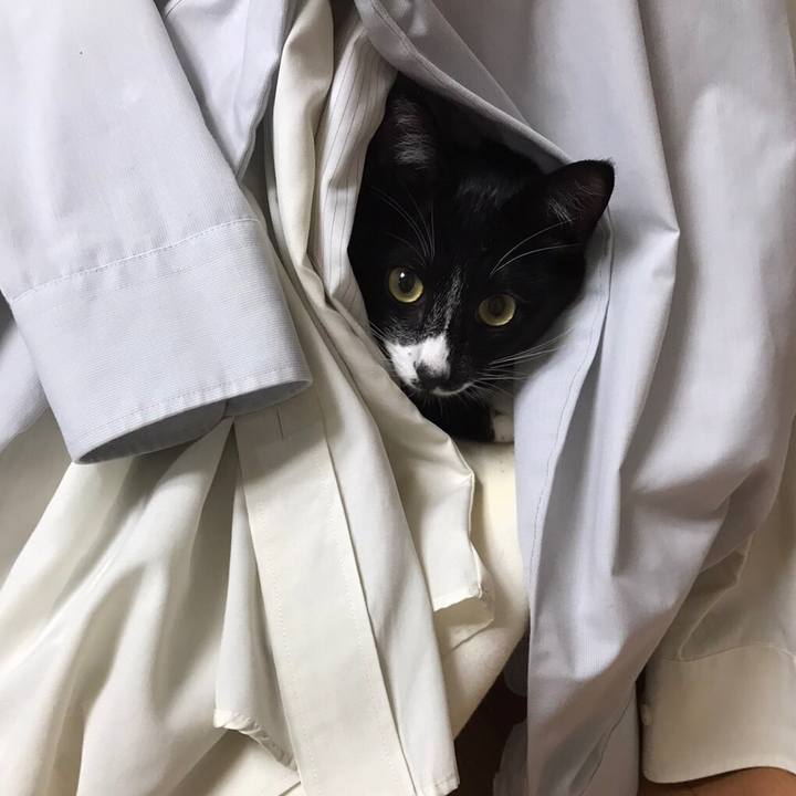 80b4066c e50c 49ec 836d d12680bf279a