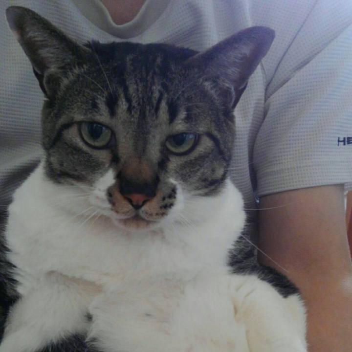 80b41a69 9b4d 471a 9dbf a6286068c56c