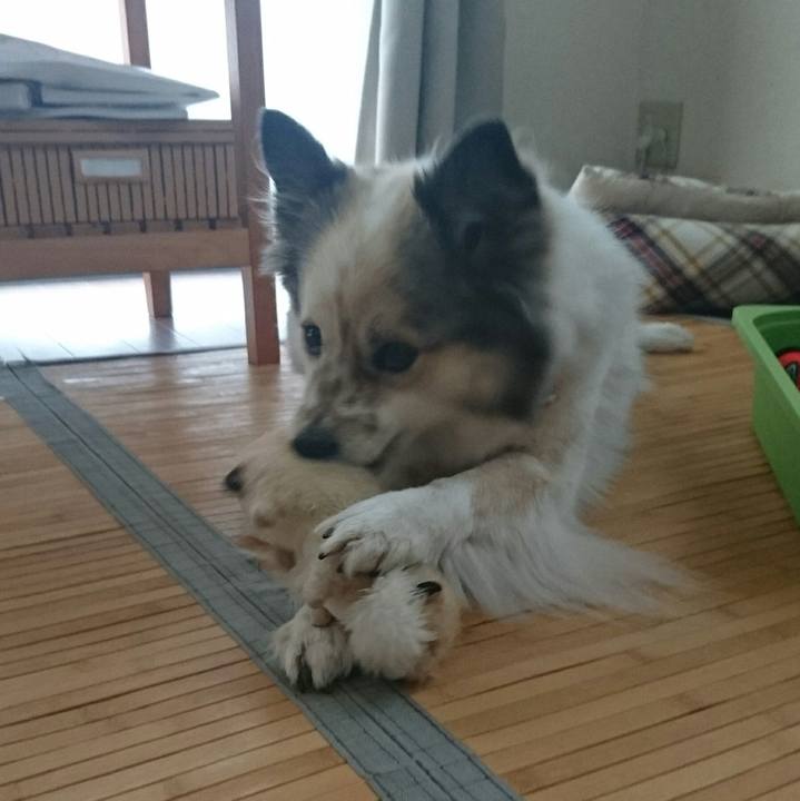 80b4855a 72ba 4466 b4a4 f41a88298af3