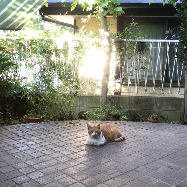 80b54778 672b 46fb a9cf 0ac864fb6f71