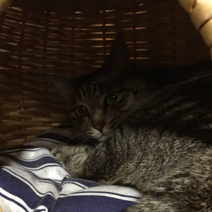 80b568ea 588c 477e b611 e3b4e430a0c1