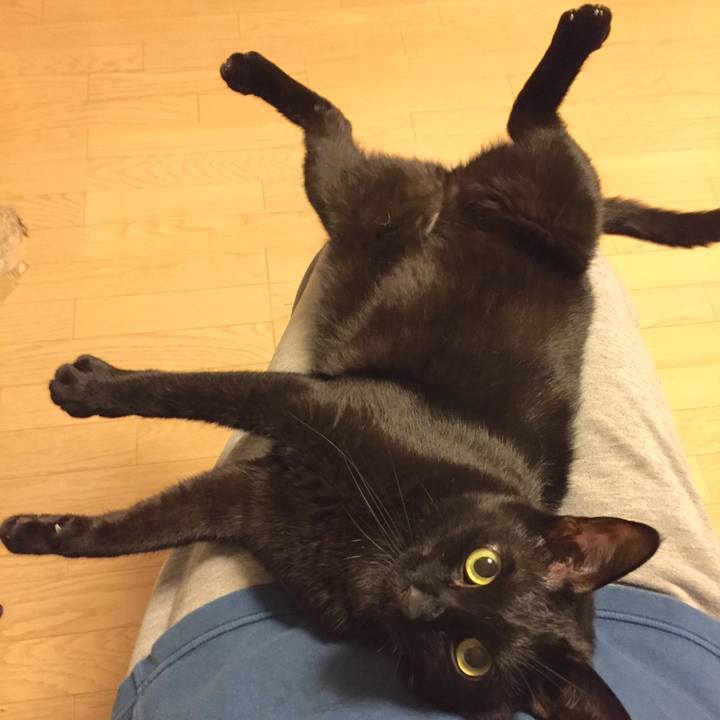 80b5ce7a 55b3 4118 a7ad 8089c349e845