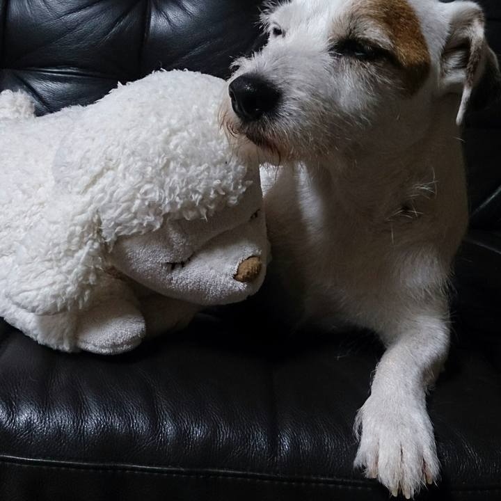 80b683e5 938a 4cde 90c6 c3c4cce439a9