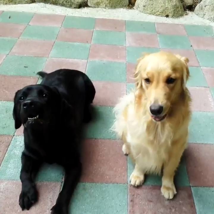 80b6b340 7d67 4fa9 ab42 f3a037a99bb2