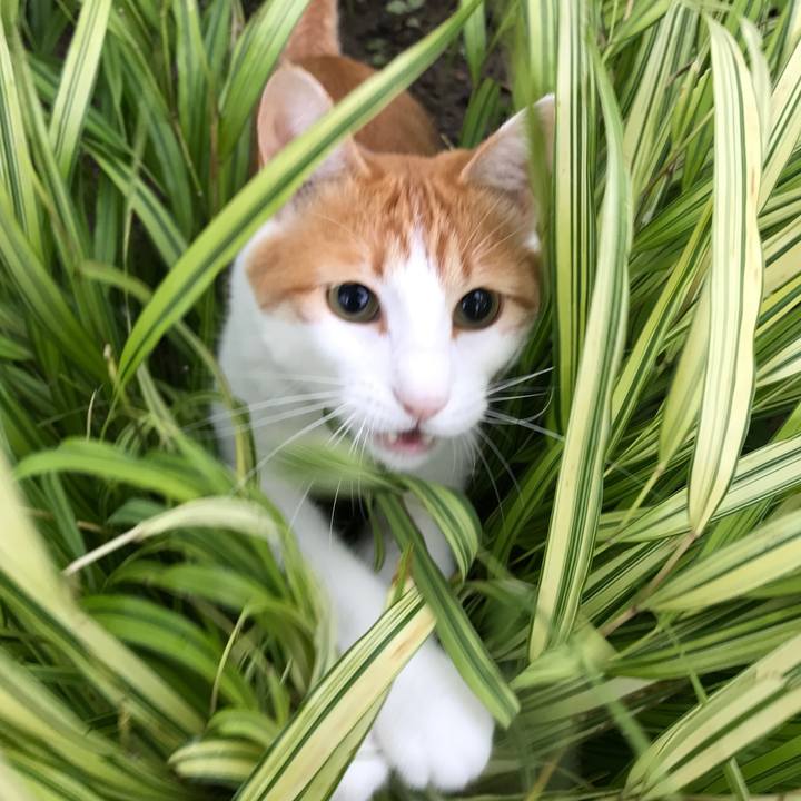 80b6b728 0775 4477 a863 232e8ae1c614