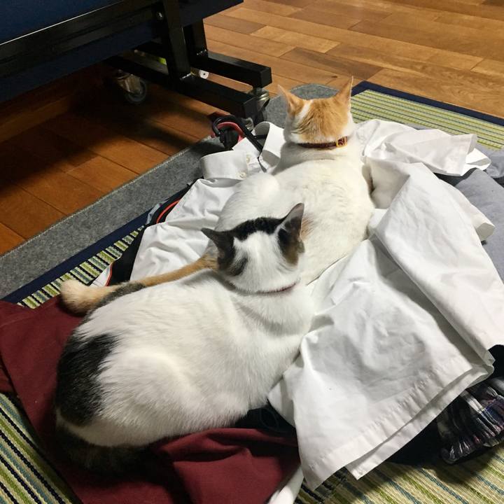 80b74914 b9cf 42fe a100 ffcf1b2ba450