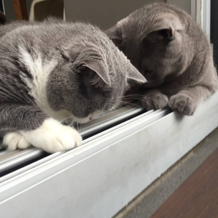 80b7a5c4 7bd4 4047 9125 bdef2bebc93c