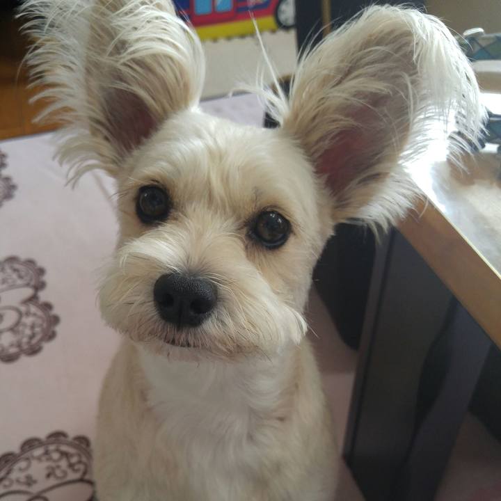 80b7fdc9 7f46 4cbf b272 46bcc13e9f28