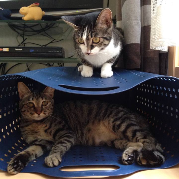 80b845cb c91c 499c 8e09 a780770a72cd