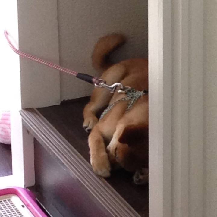 80b87256 cf2a 4989 a00f 436020d72ecd