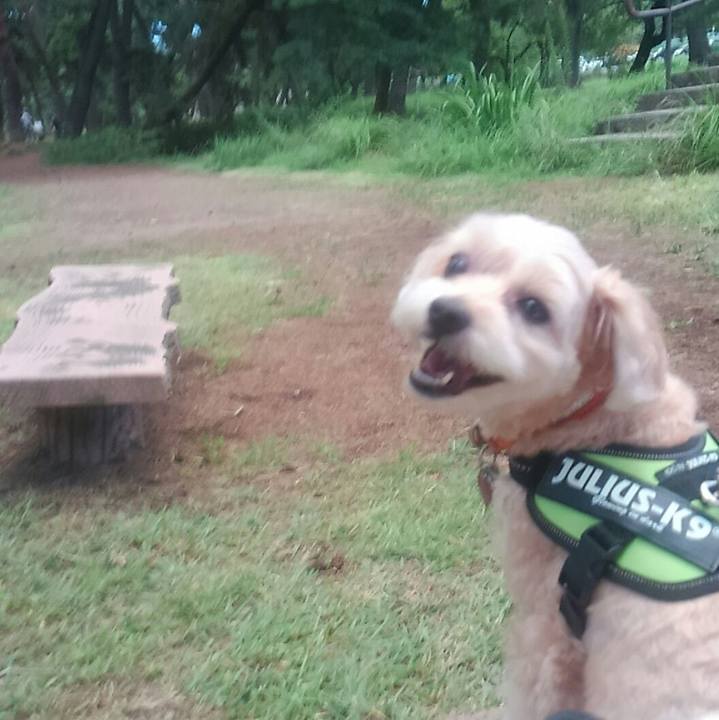 80b94526 39ee 4dd6 9646 1e97de633e9d