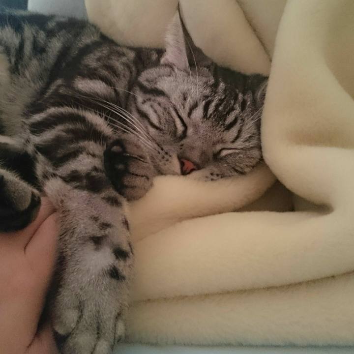 80b9d0c8 ad7f 4524 8fef a42bc9db6bc2