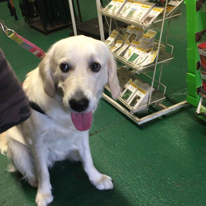 80ba3170 68d9 4fdb 82f8 38a0ad4db536