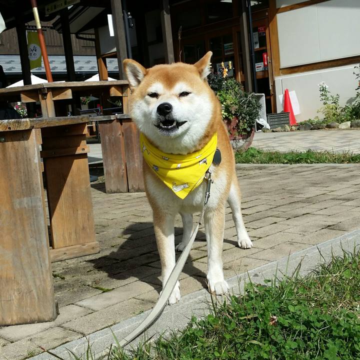 80bac327 0d1e 4fd9 ba06 3a51ba95ae43