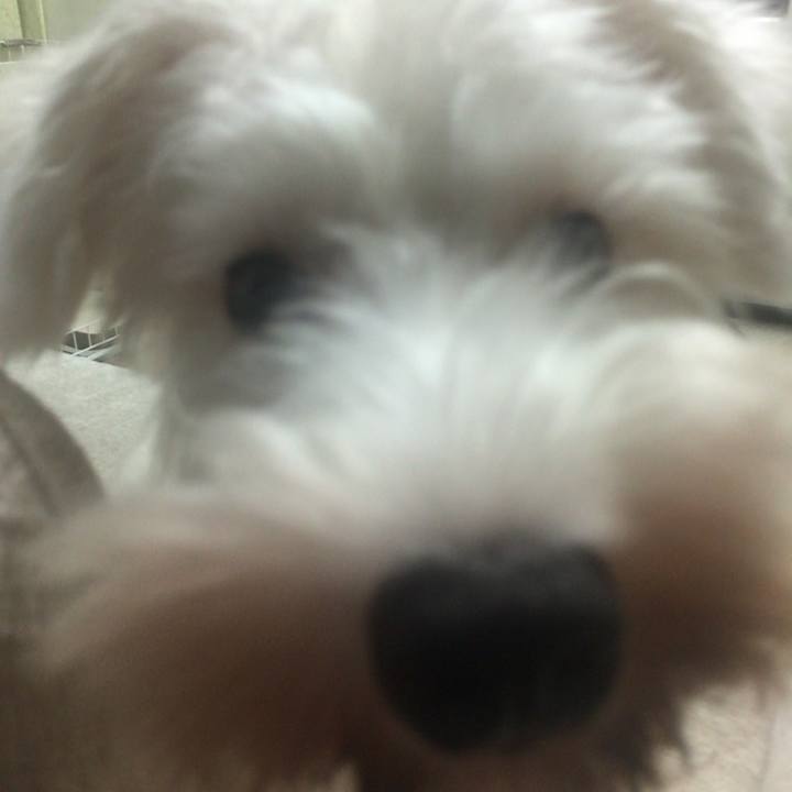 80baff1c aa7c 4b0b b248 1a6aa2830475