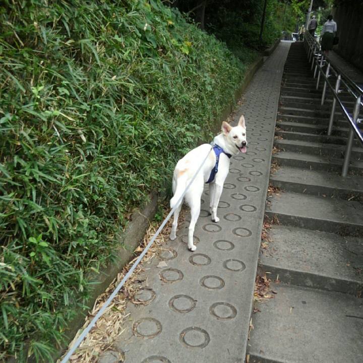 80bb6d34 e9e0 46ac a587 e73e8f94240e