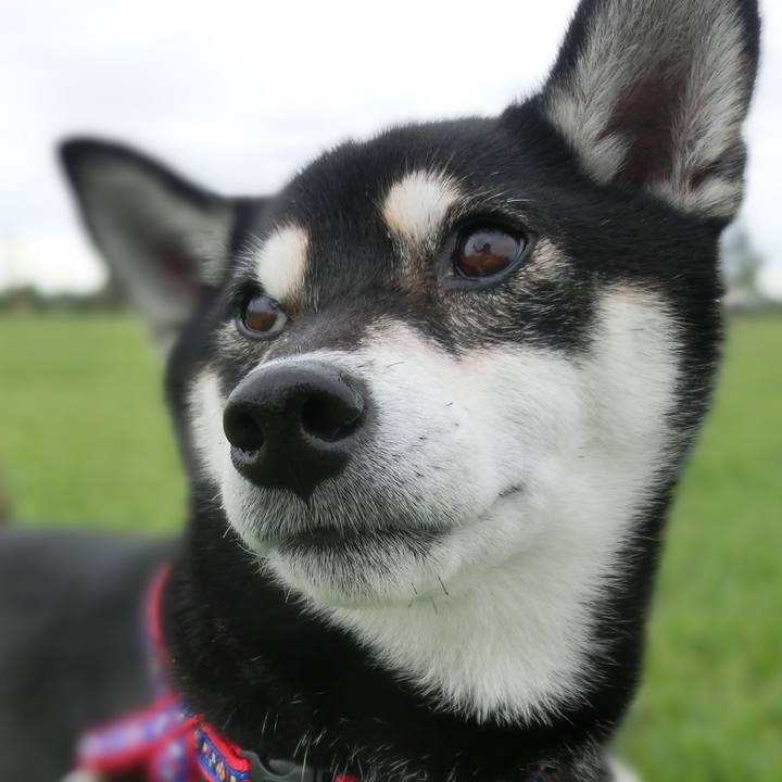 80bc5c5a b3dd 4c0a a77b 9405a02dd251