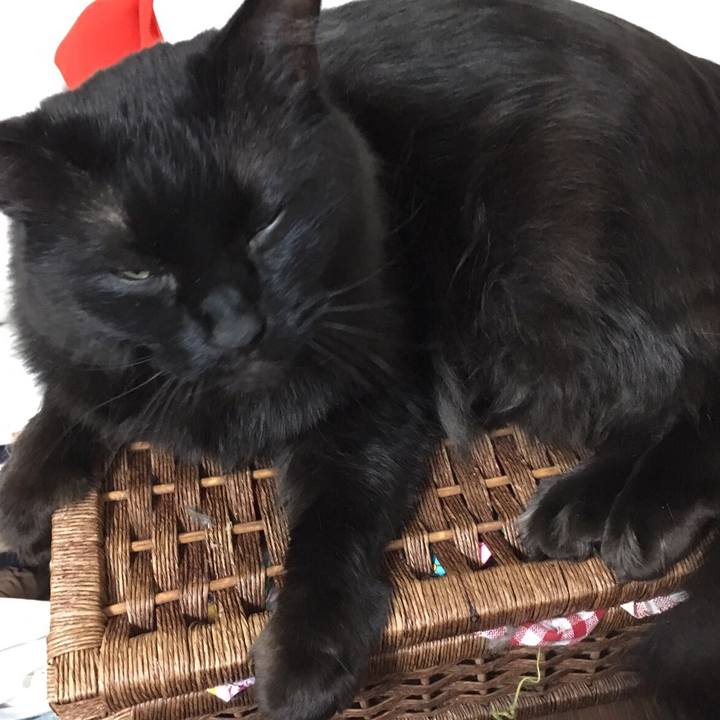 80bc5fcd 3721 40eb af64 c29e4f177db2