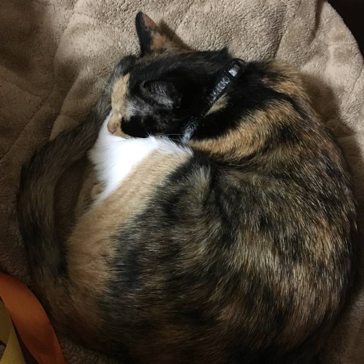 80bc6b9b cb17 49c7 b3d3 3c65a4141b81