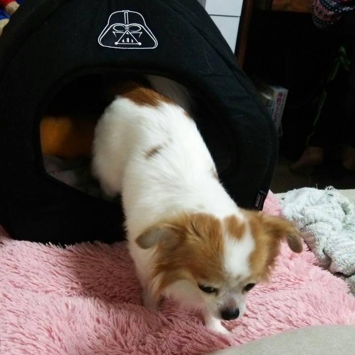 80bc70a8 7d98 4756 8c33 d140bdc9ce97