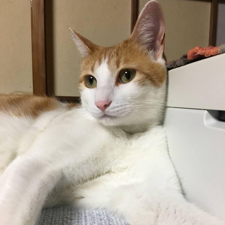 80bda54d 091e 495f 9eb6 09167f307fa2