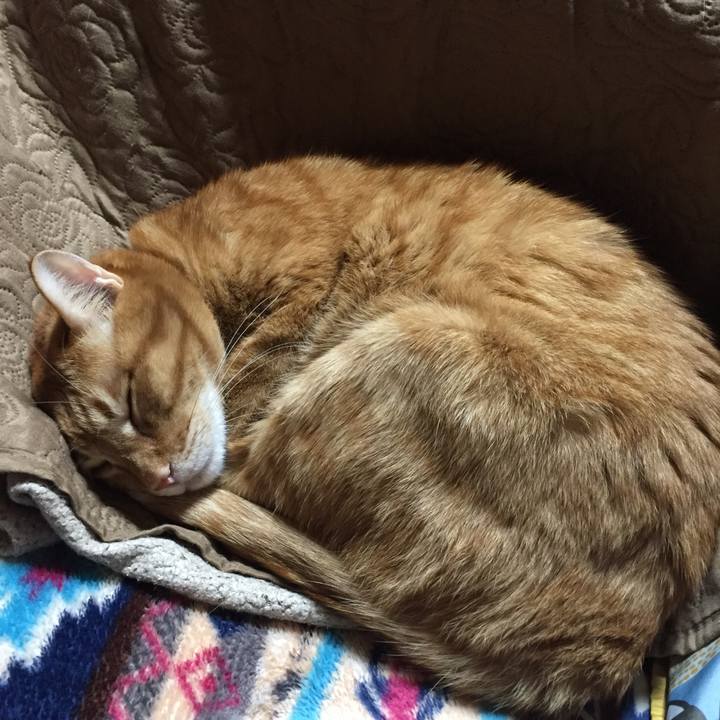 80bded51 2354 41ea 87fc 389e08bbcf91