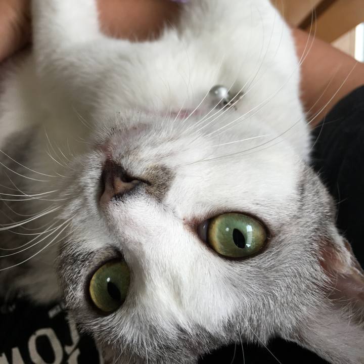 80be4f90 4967 4601 9b95 29ebaaa3fc0b