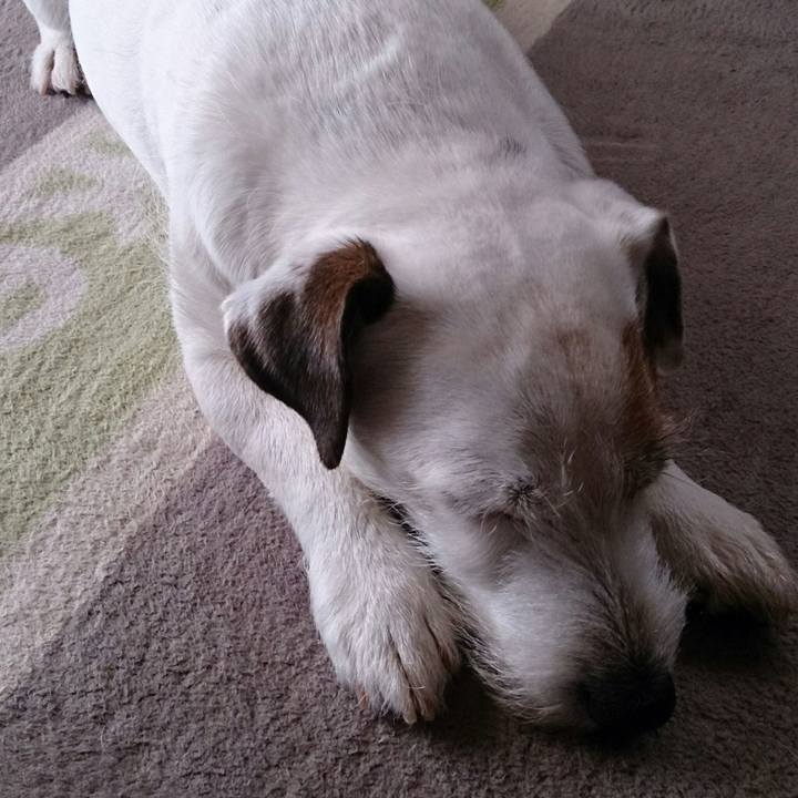 80bec919 b041 406c bb61 008232d3d36c