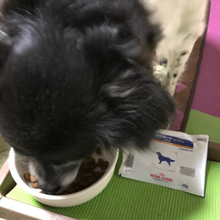 80bfaa8b fa74 4f45 bbf8 d52758521b28