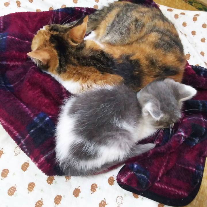 80c1deae 9bd8 4a87 b37b 4d3417b5fcfc