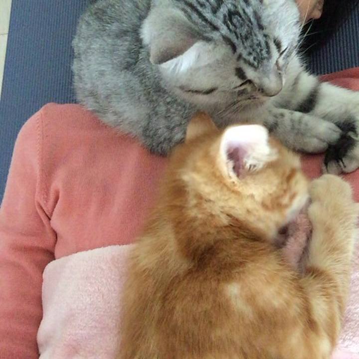 80c24292 d8b5 479c b6a8 876ccdf4cd36