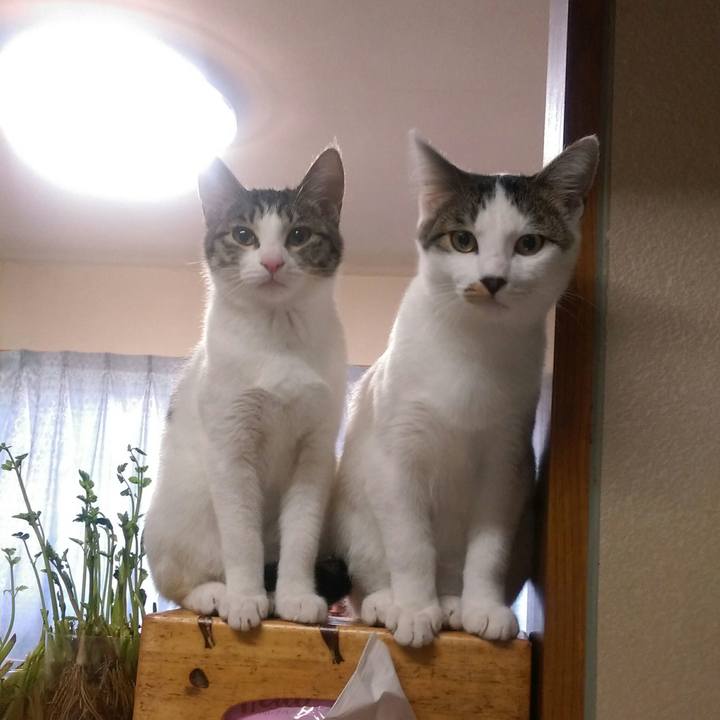 80c2f4c0 3234 4cb9 9380 565cf16f3c72