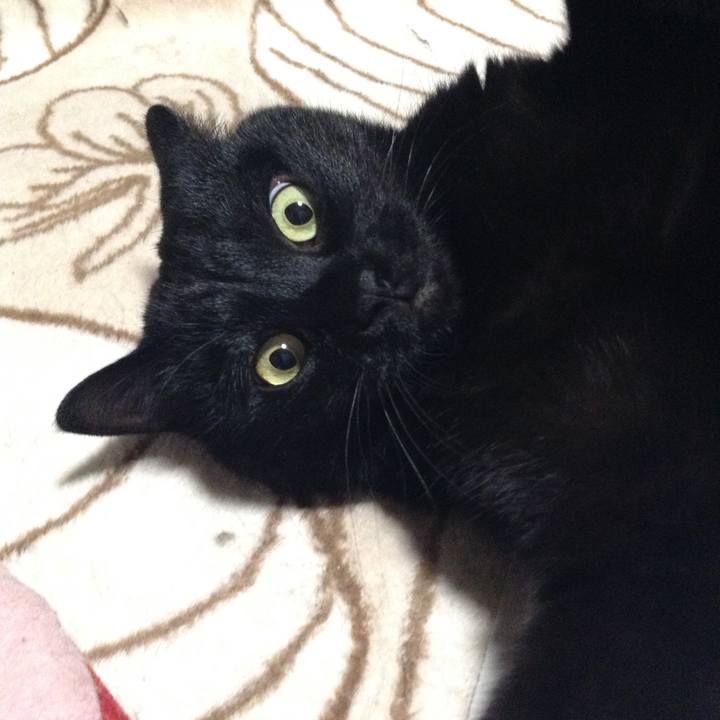 80c39b33 856b 4457 868c f49fa8d25330