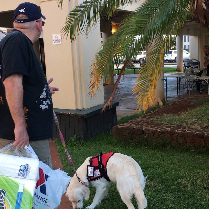 80c3eefd f20b 460f a53c 52f9aa9ff9ea