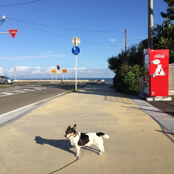 80c55bdf 43ed 4dc9 92a3 a1bd9c1763d8