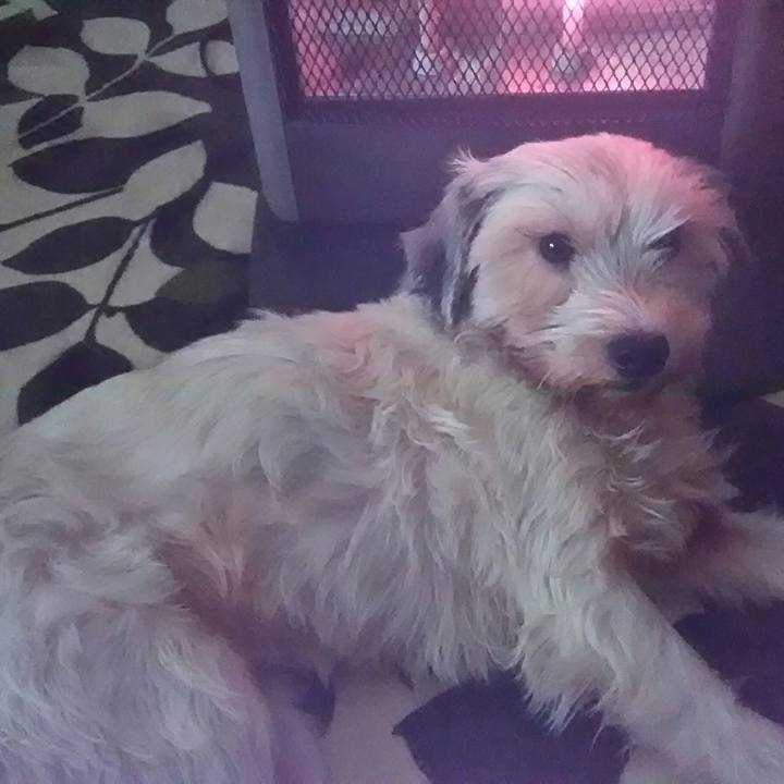 80c5a02c f97b 4ed2 9212 b074ecbe4f60