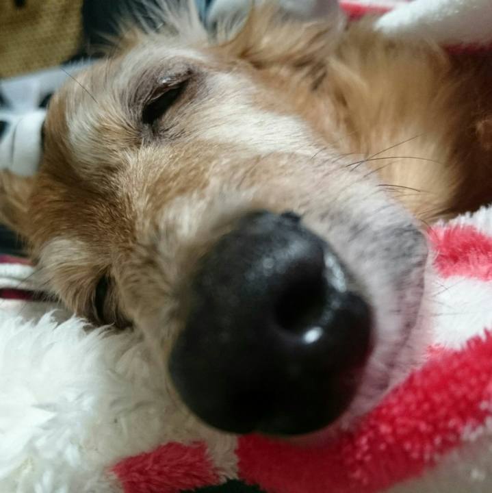 80c5cef1 c2da 48bd b8fa e629fd32bc18