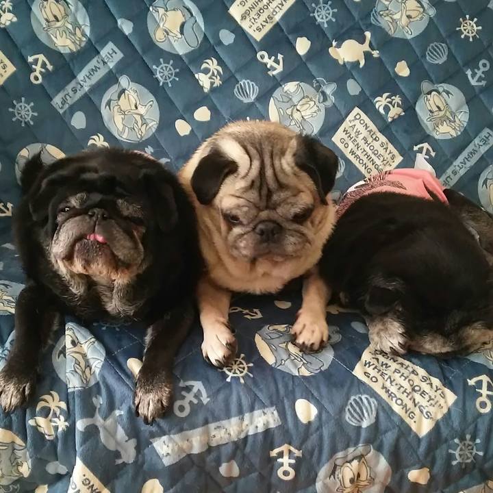 80c73303 483c 4270 88c8 abbc9ff8c903