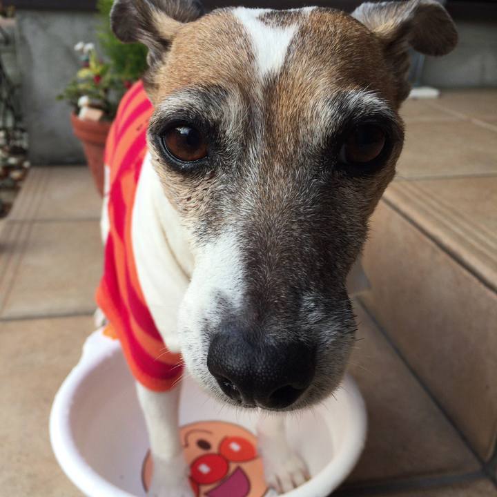 80c7876c 3eb3 4adc 82c3 958cbda54bb6