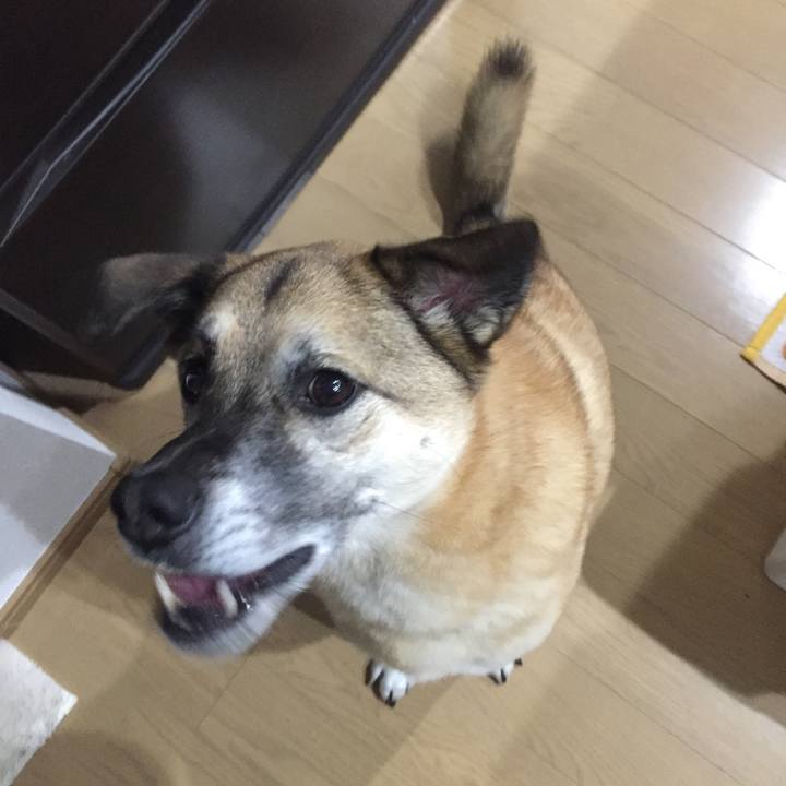 80c7bfb5 8ef9 403d ba69 88d2b2210016